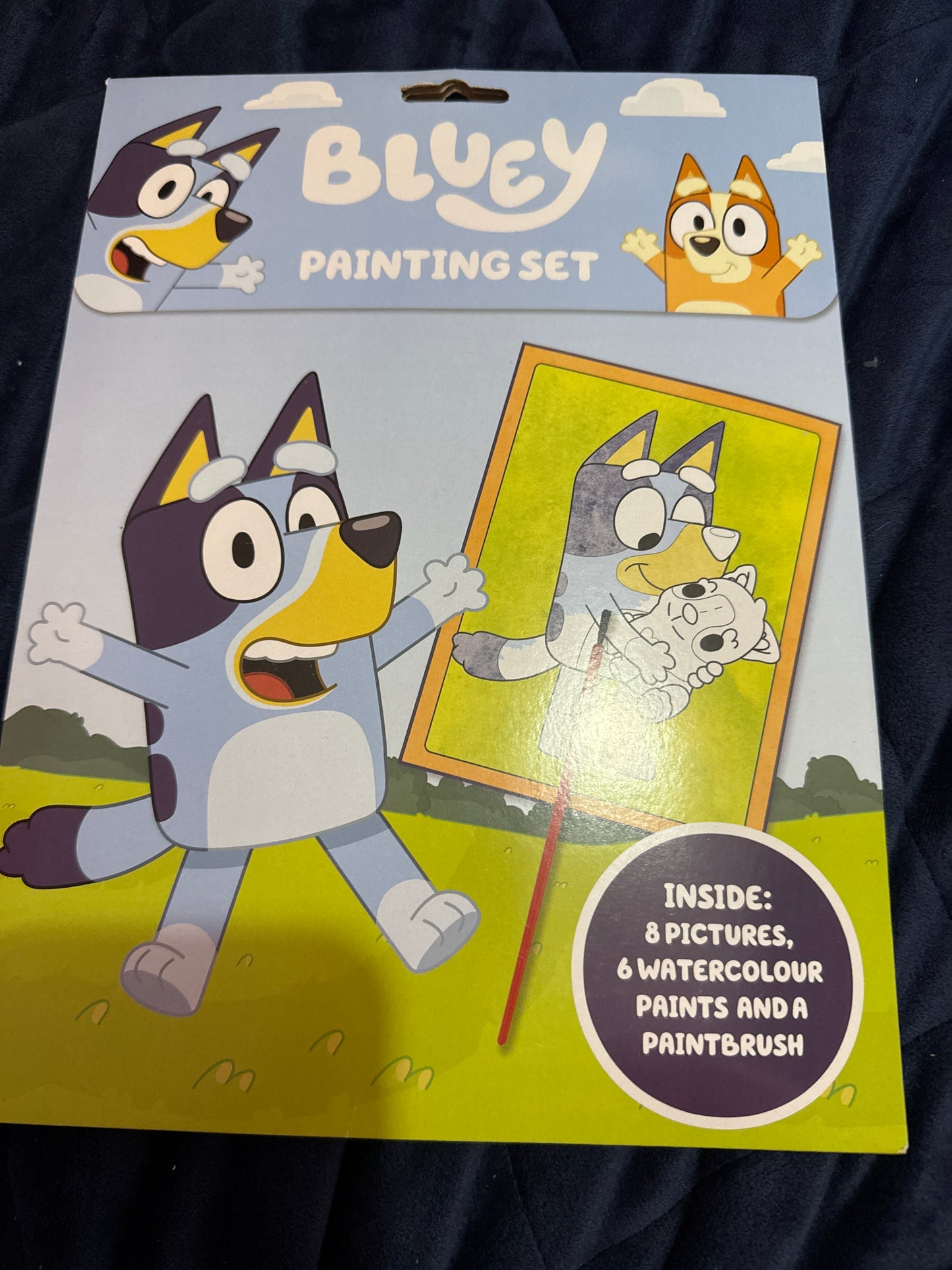 Bluey painting set