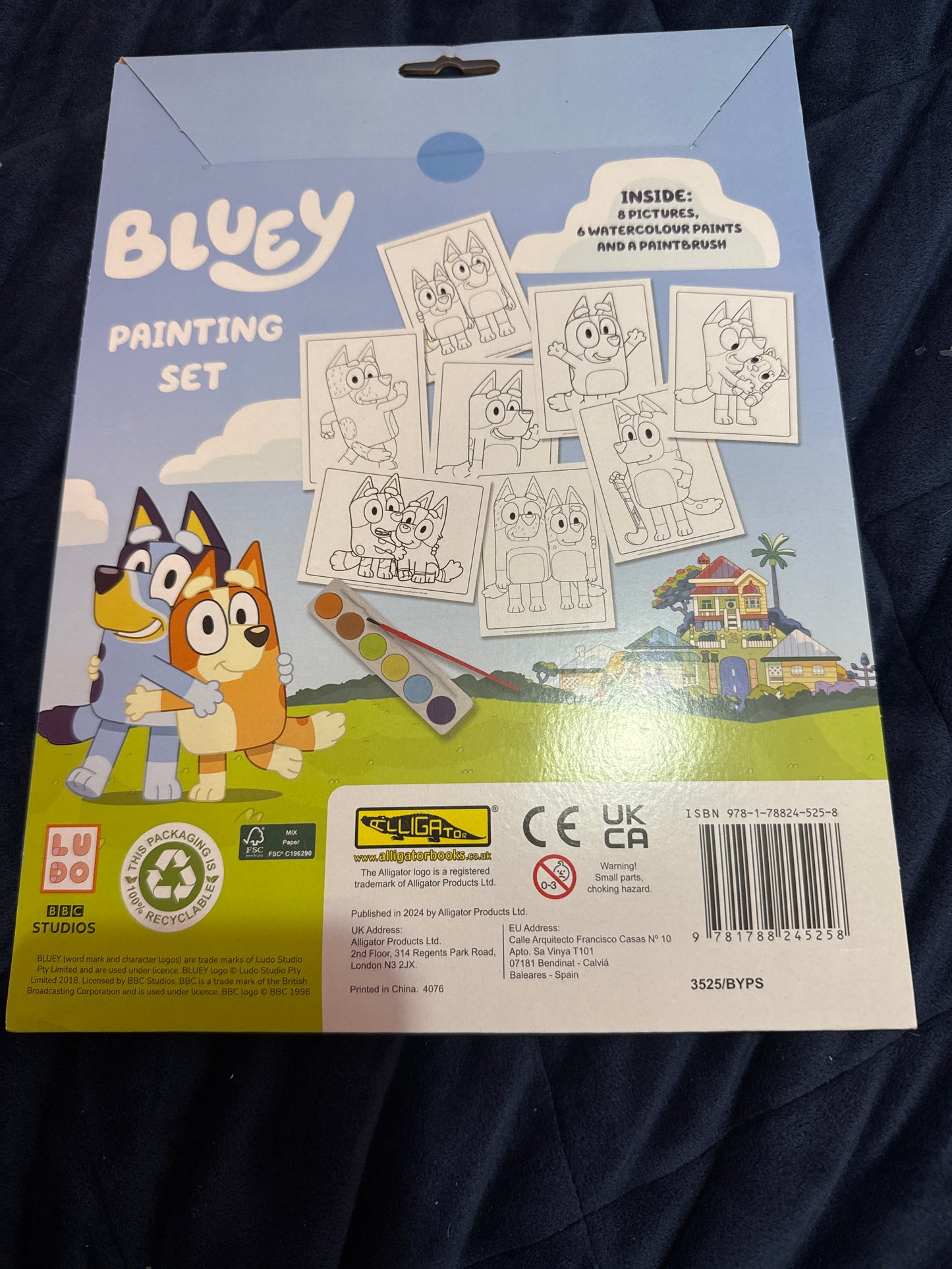 Bluey painting set